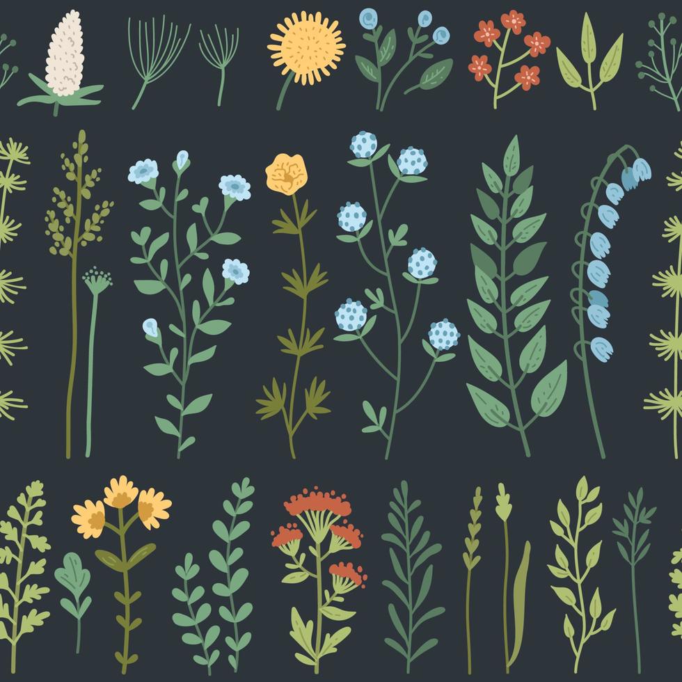 patrón vectorial sin costuras con plantas silvestres dibujadas a mano, hierbas y flores, ilustración botánica colorida, vector