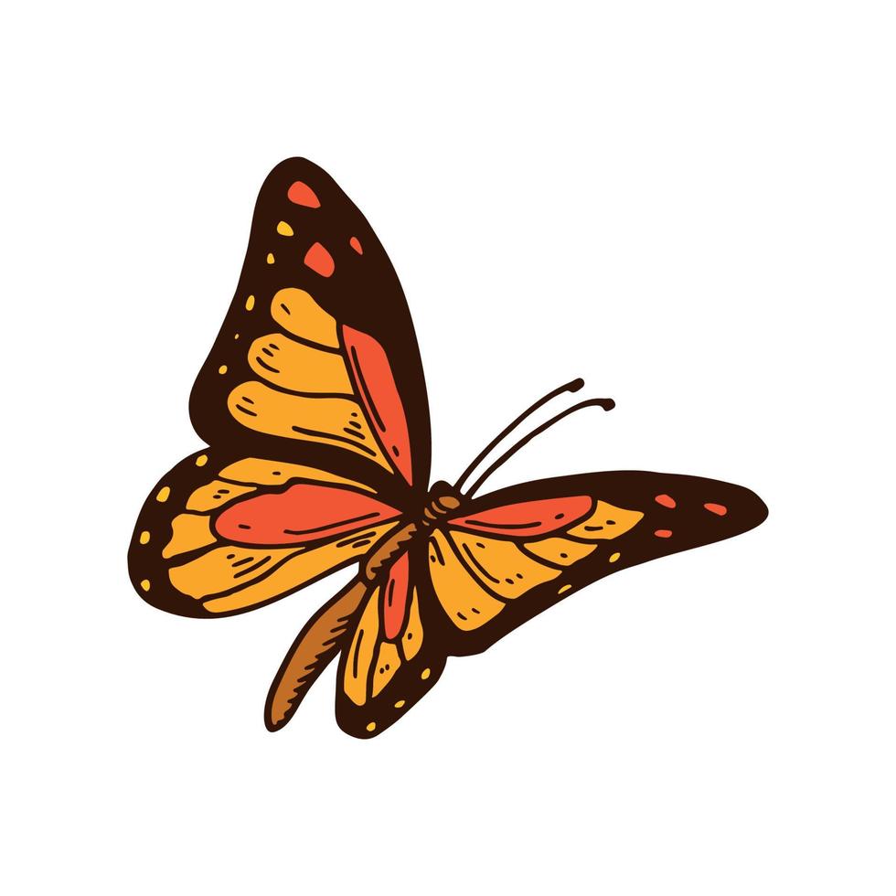 Hand drawn colorful orange Monarch butterfly. Vector illustration