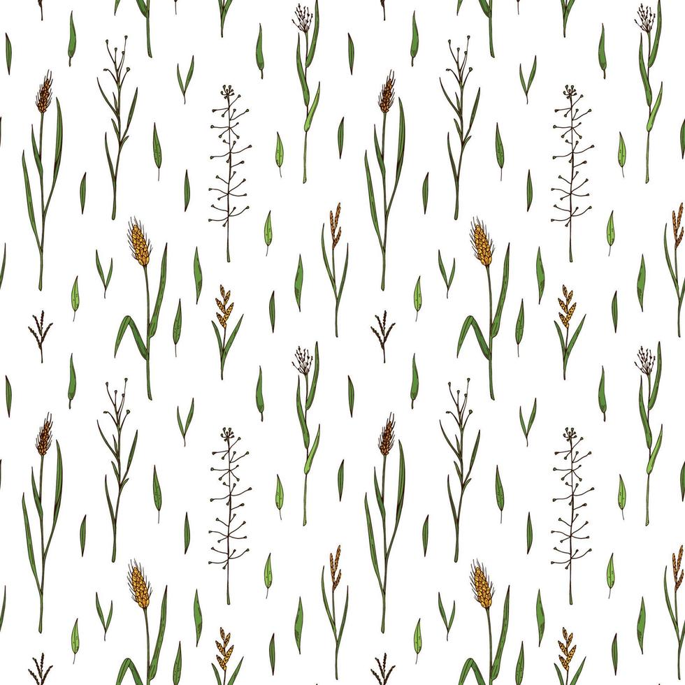 Herbal summer seamless pattern. Colorful hand drawn vector illustration. Botany design