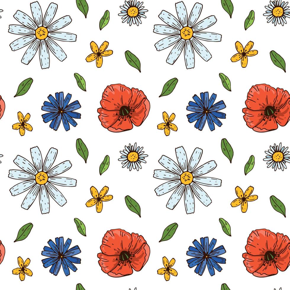 Meadow flowers summer seamless pattern. Colorful hand drawn vector illustration. Botany design