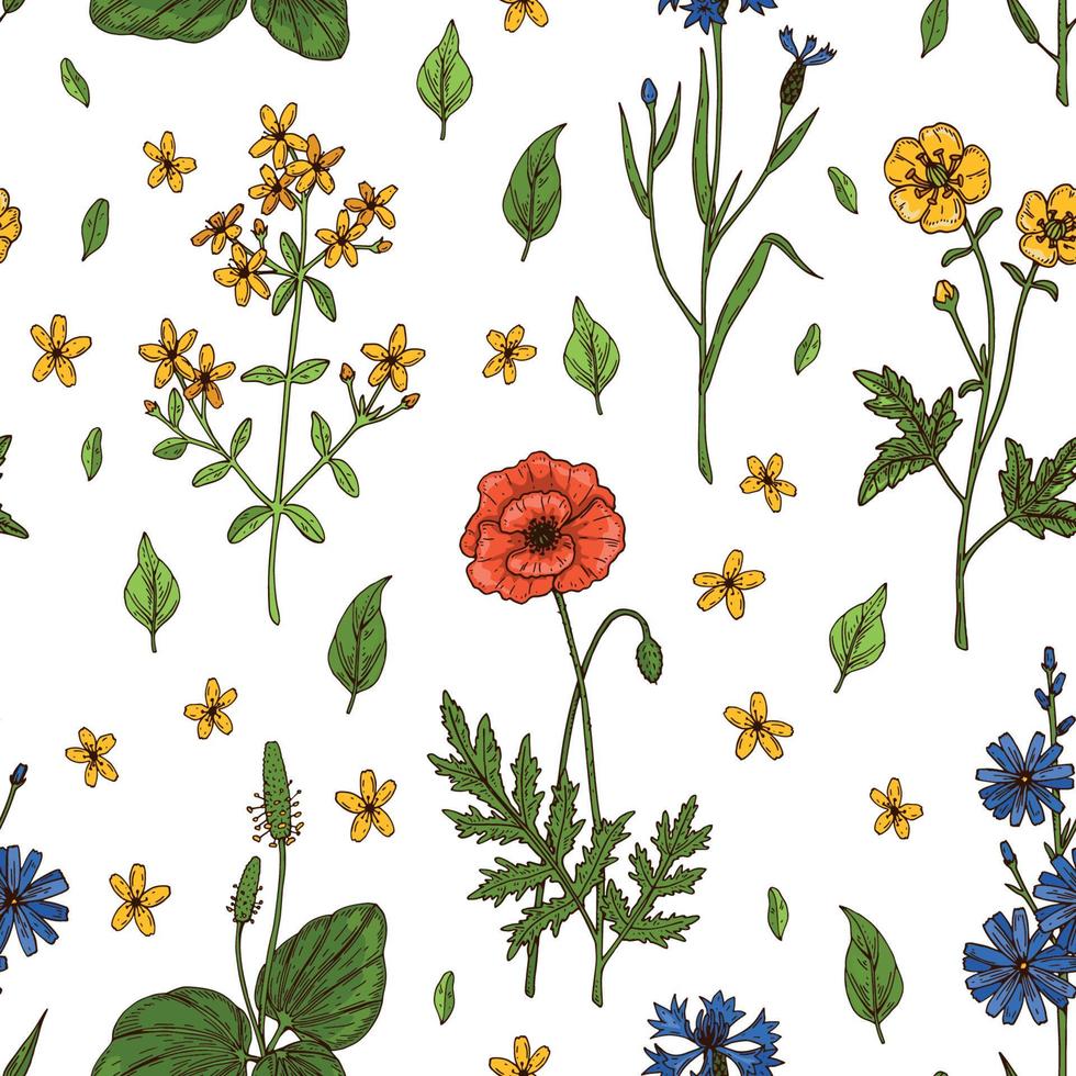 prado flores verano patrón sin costuras. ilustración vectorial dibujada a mano de colores. diseño botánico vector