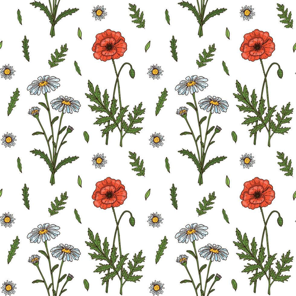 Meadow flowers summer seamless pattern. Colorful hand drawn vector illustration. Botany design