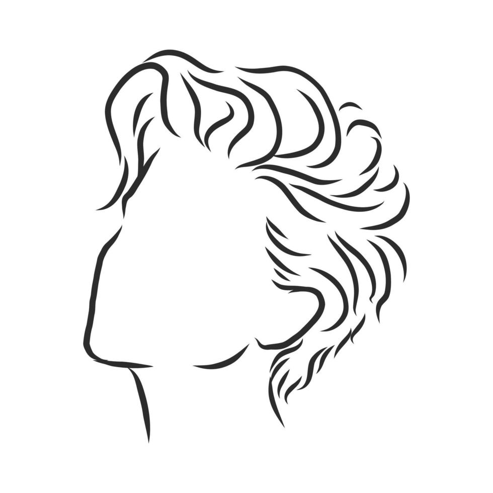 women's hairstyle vector sketch