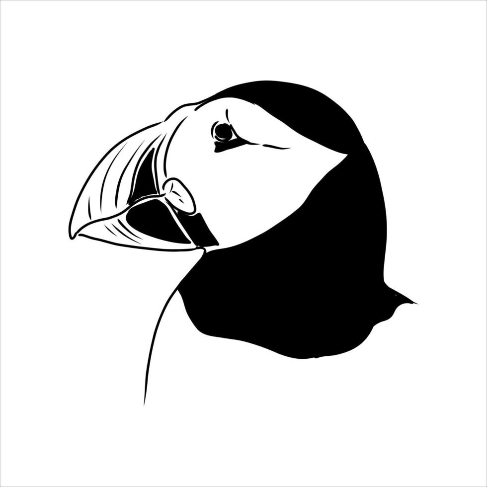 the puffin bird is flying vector sketch