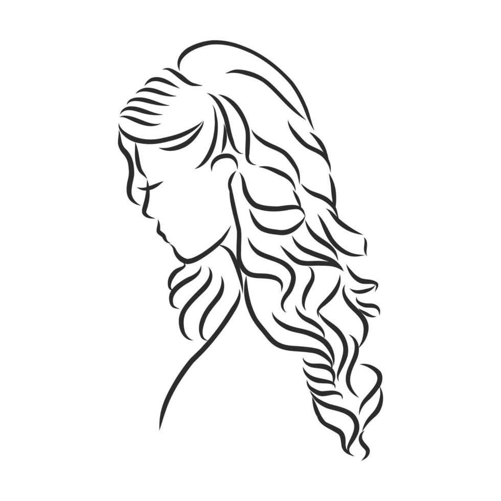 women's hairstyle vector sketch