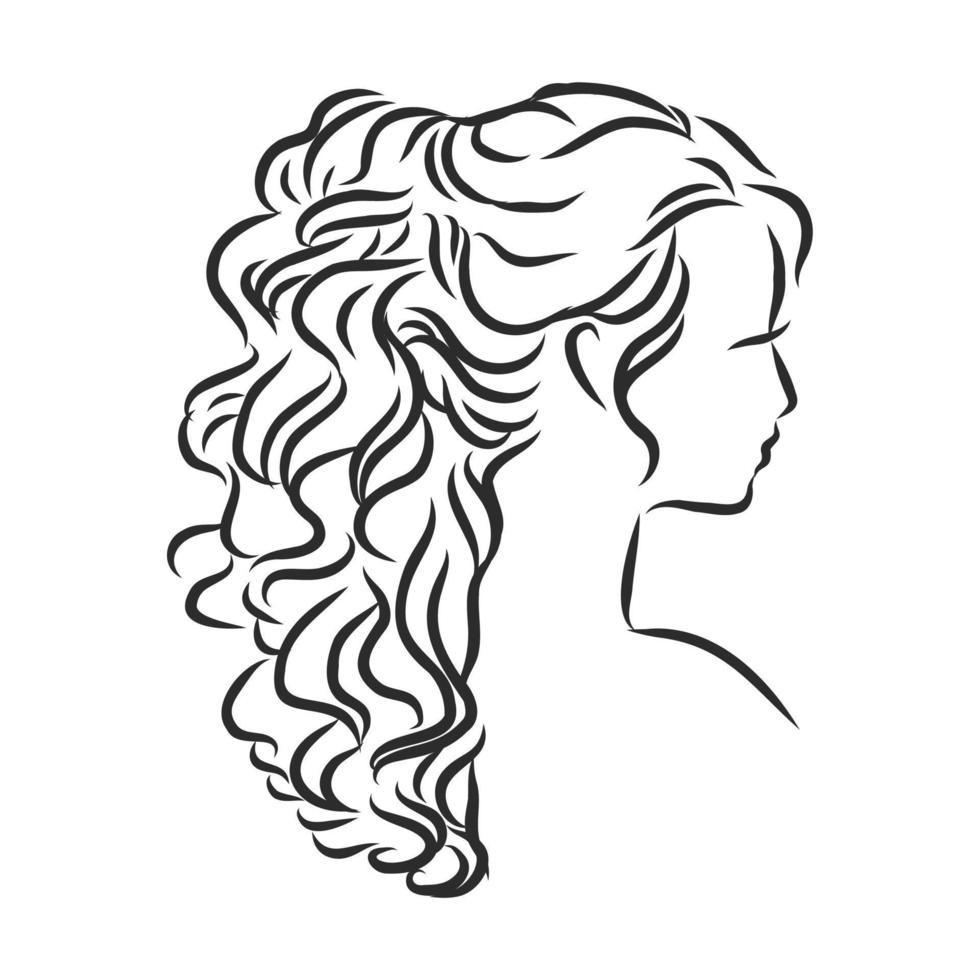 women's hairstyle vector sketch