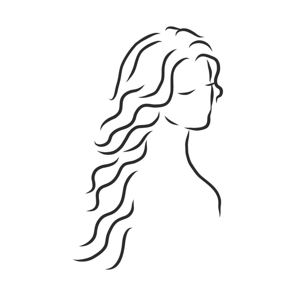 bosquejo del vector del peinado de las mujeres