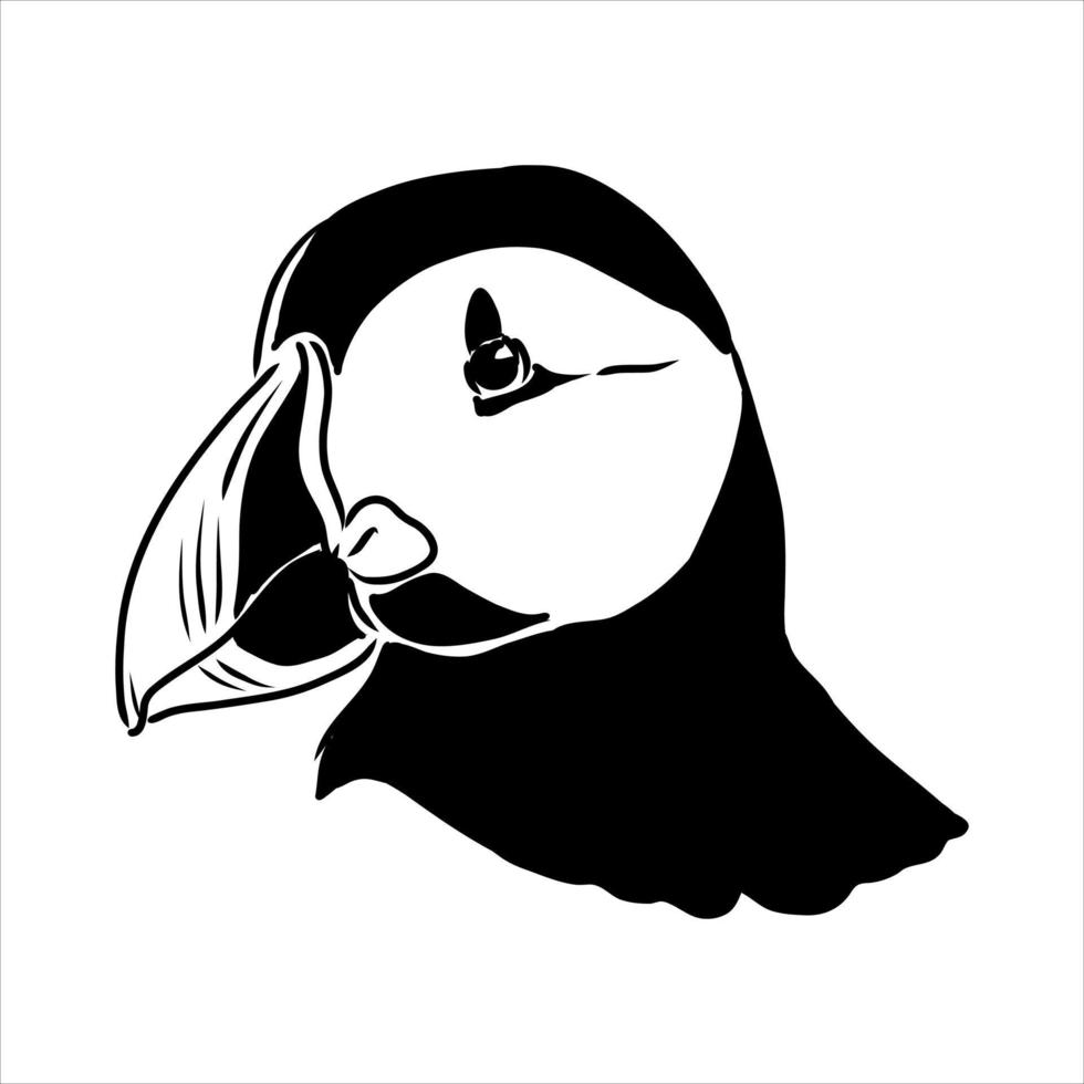 the puffin bird is flying vector sketch