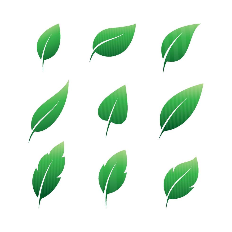 vector leaf element set color set