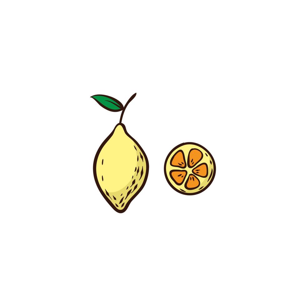 lemon lime fruit vegetable vector illustration hand drawn