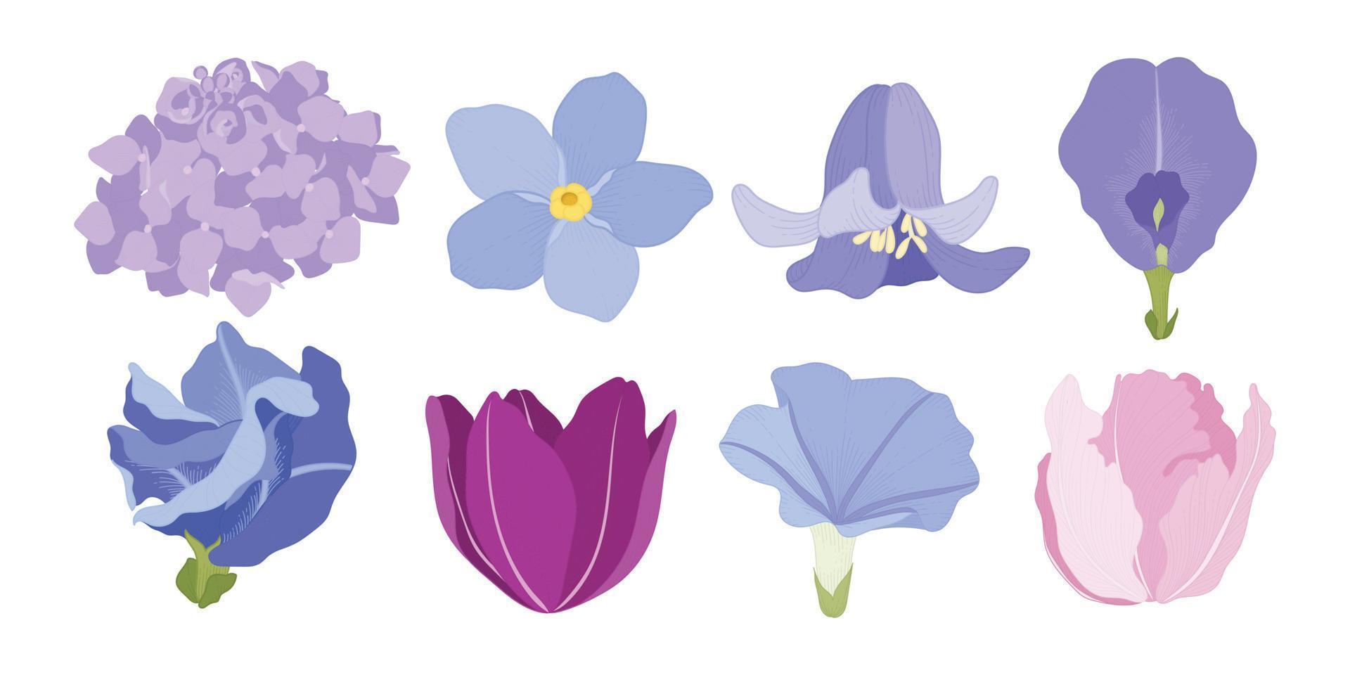 Set of colorful blooming flowers illustration. vector