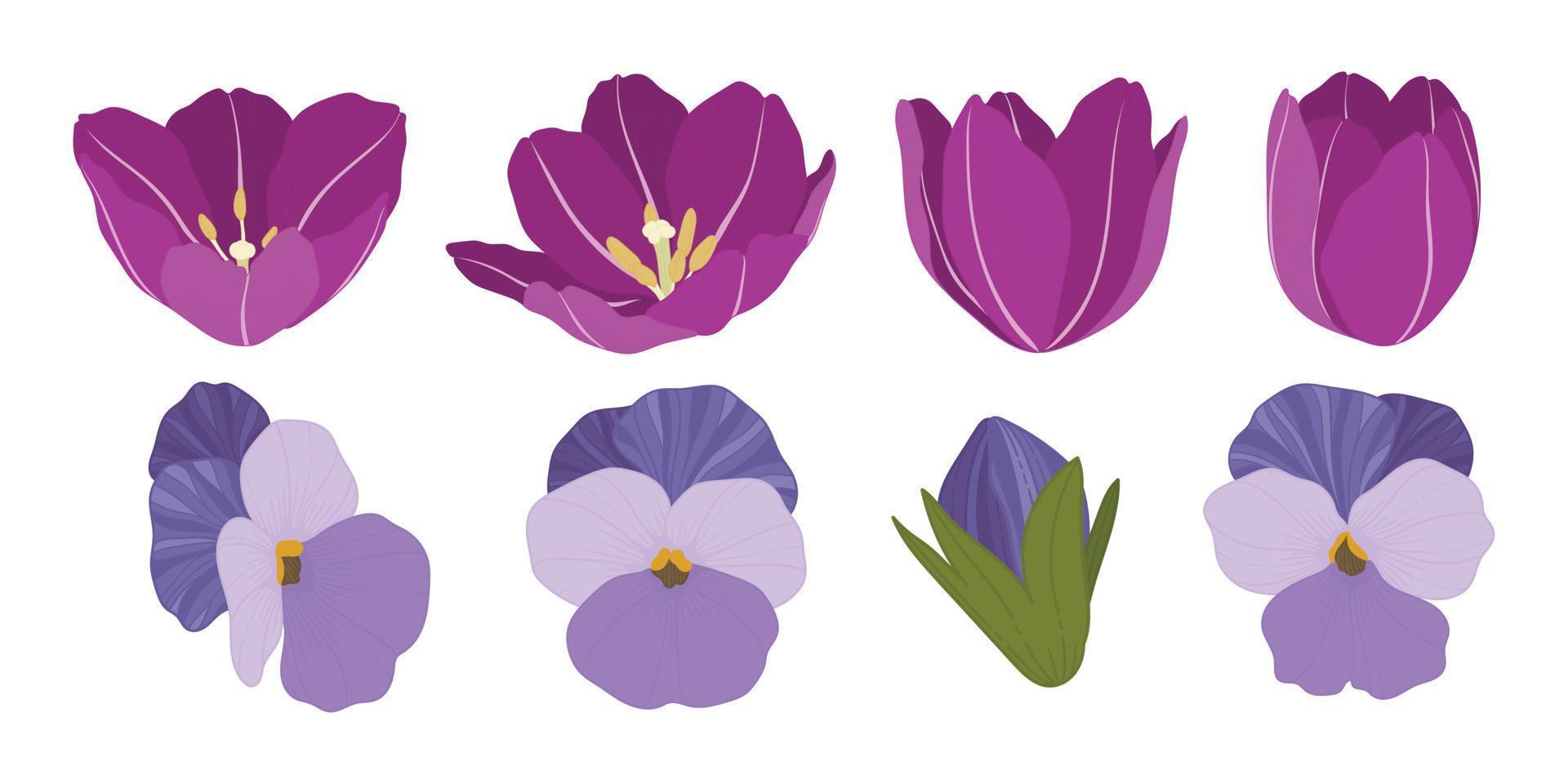 Set of colorful blooming flowers illustration. vector