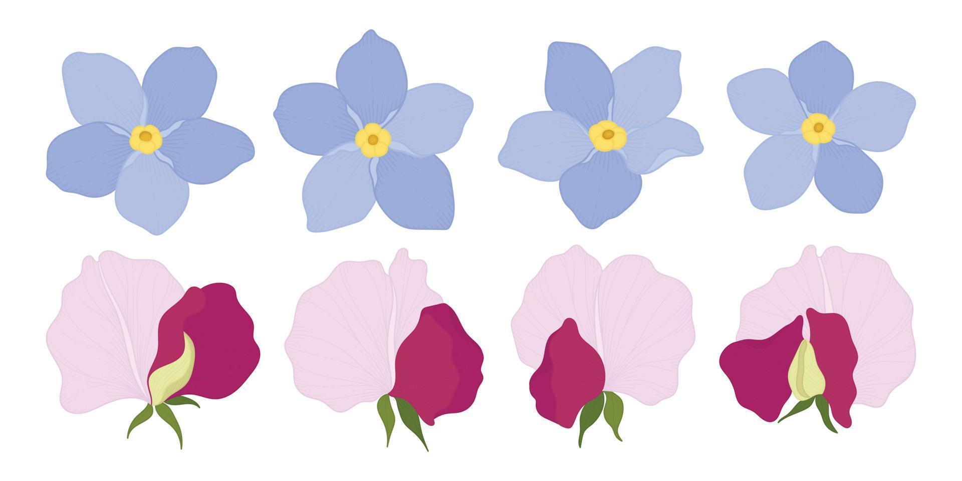 Set of colorful blooming flowers illustration. vector