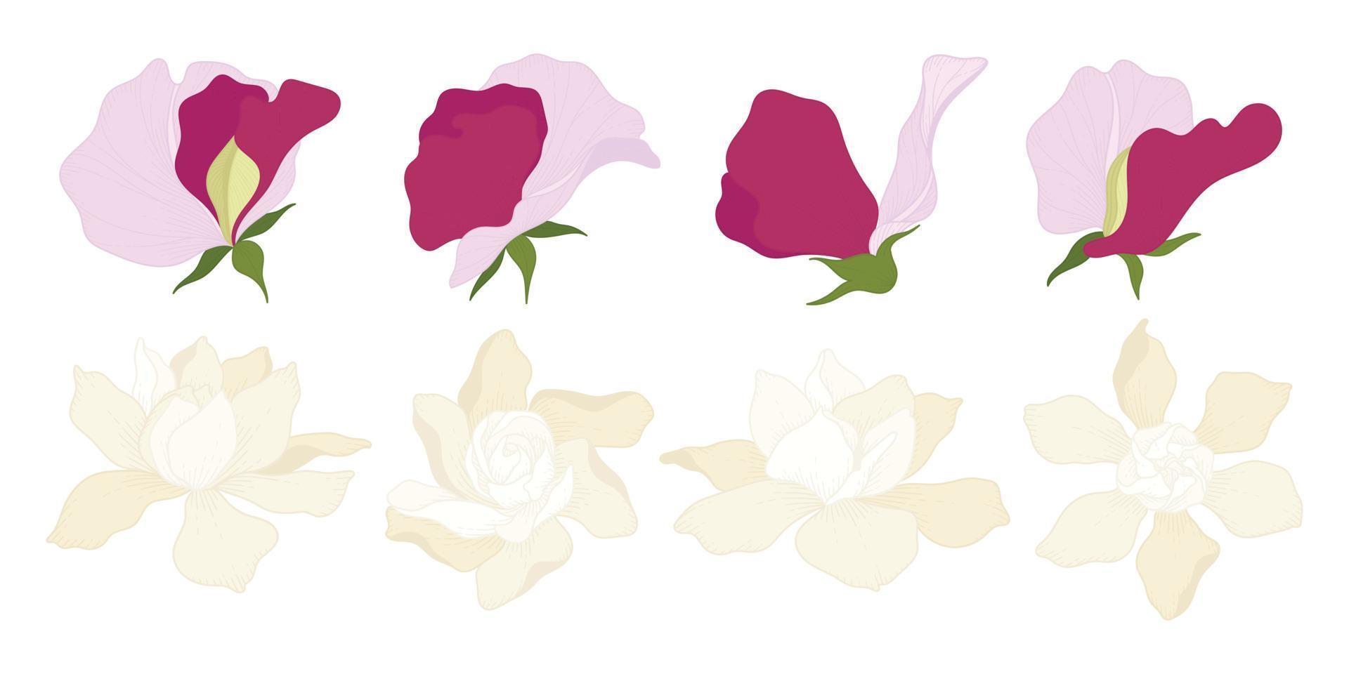 Set of colorful blooming flowers illustration. vector