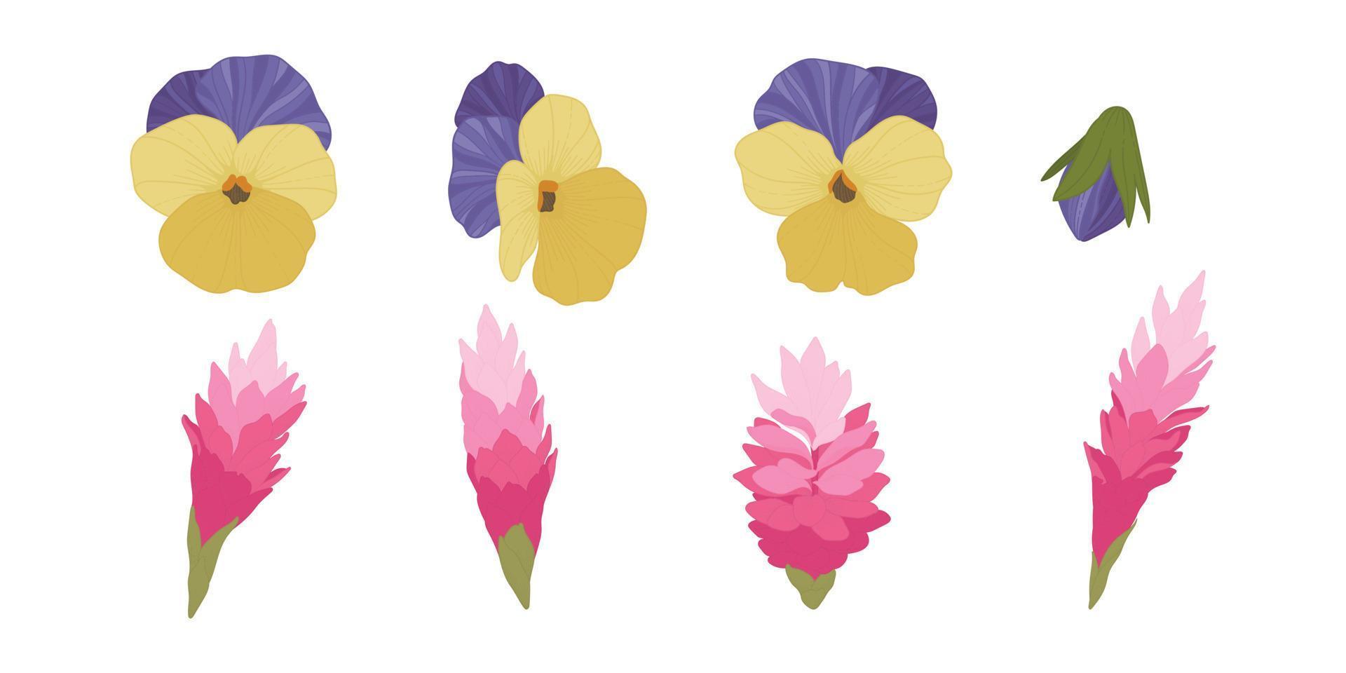 Set of colorful blooming flowers illustration. vector