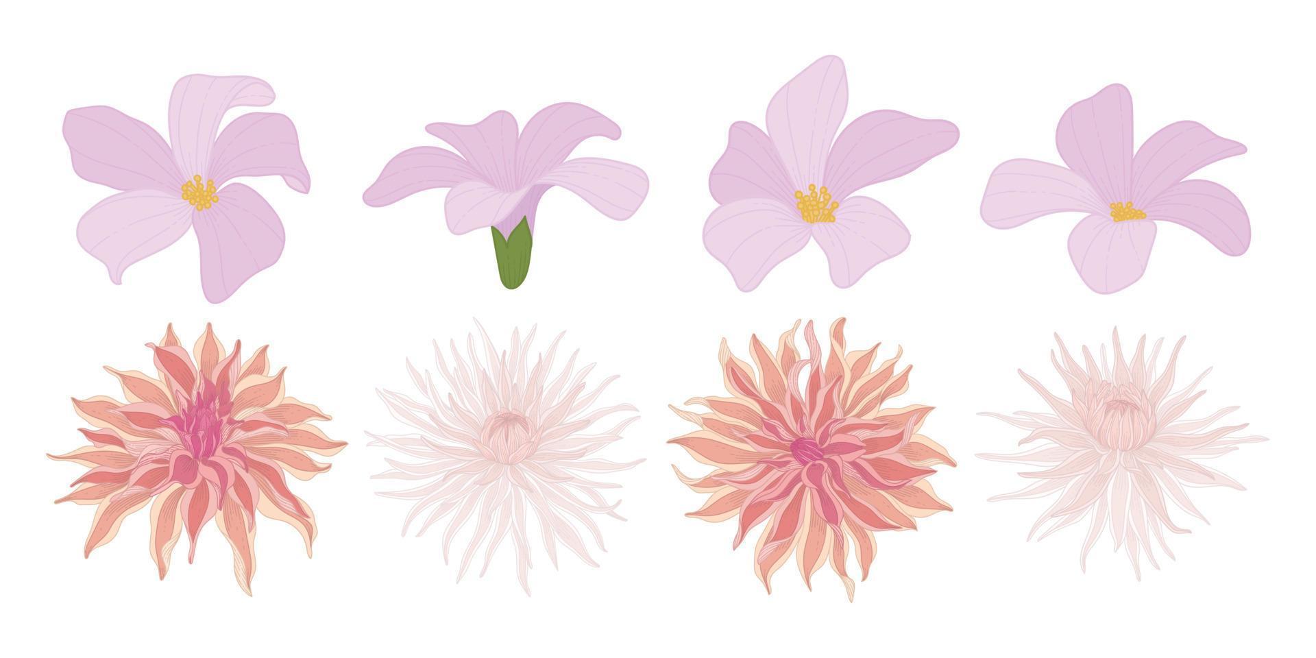 conjunto de coloridas flores florecientes ilustración. vector