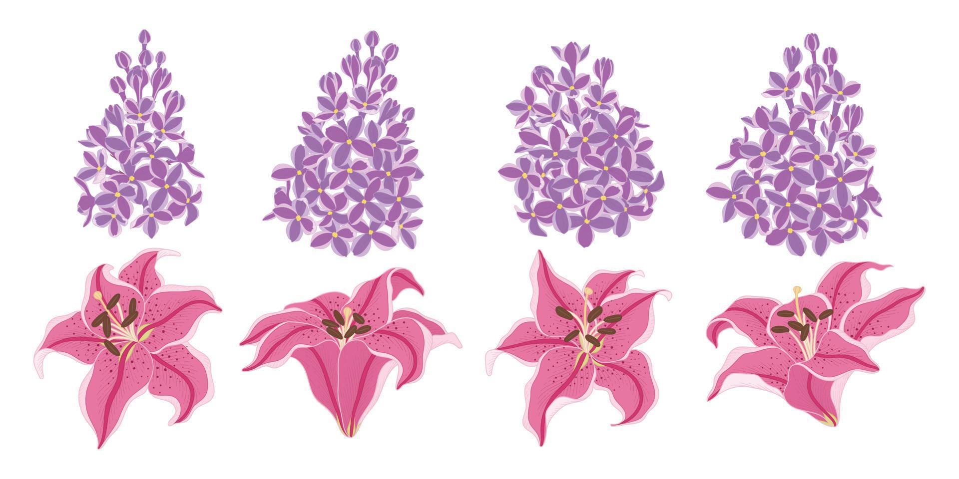 Set of colorful blooming flowers illustration. vector