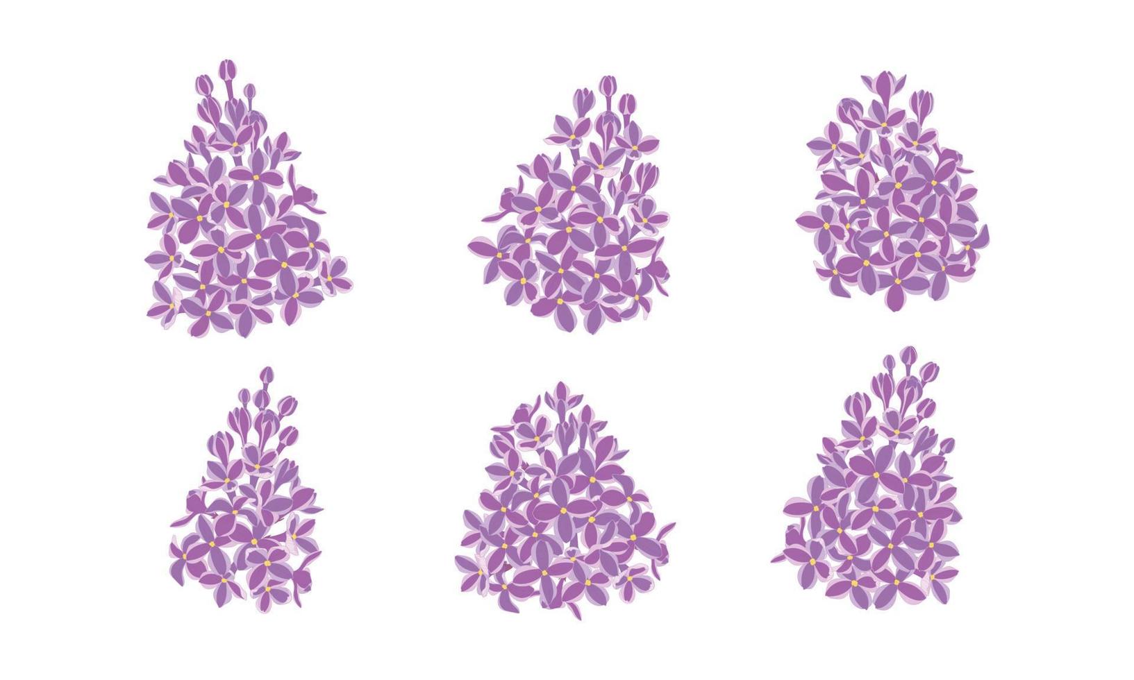 Set of purple lilac blooming flowers illustration. vector