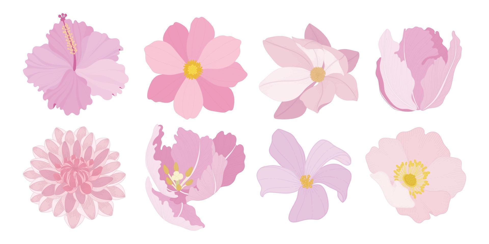 Set of colorful blooming flowers illustration. vector