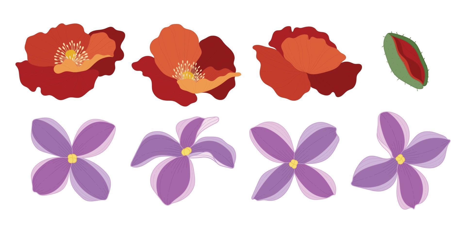 Set of colorful blooming flowers illustration. vector