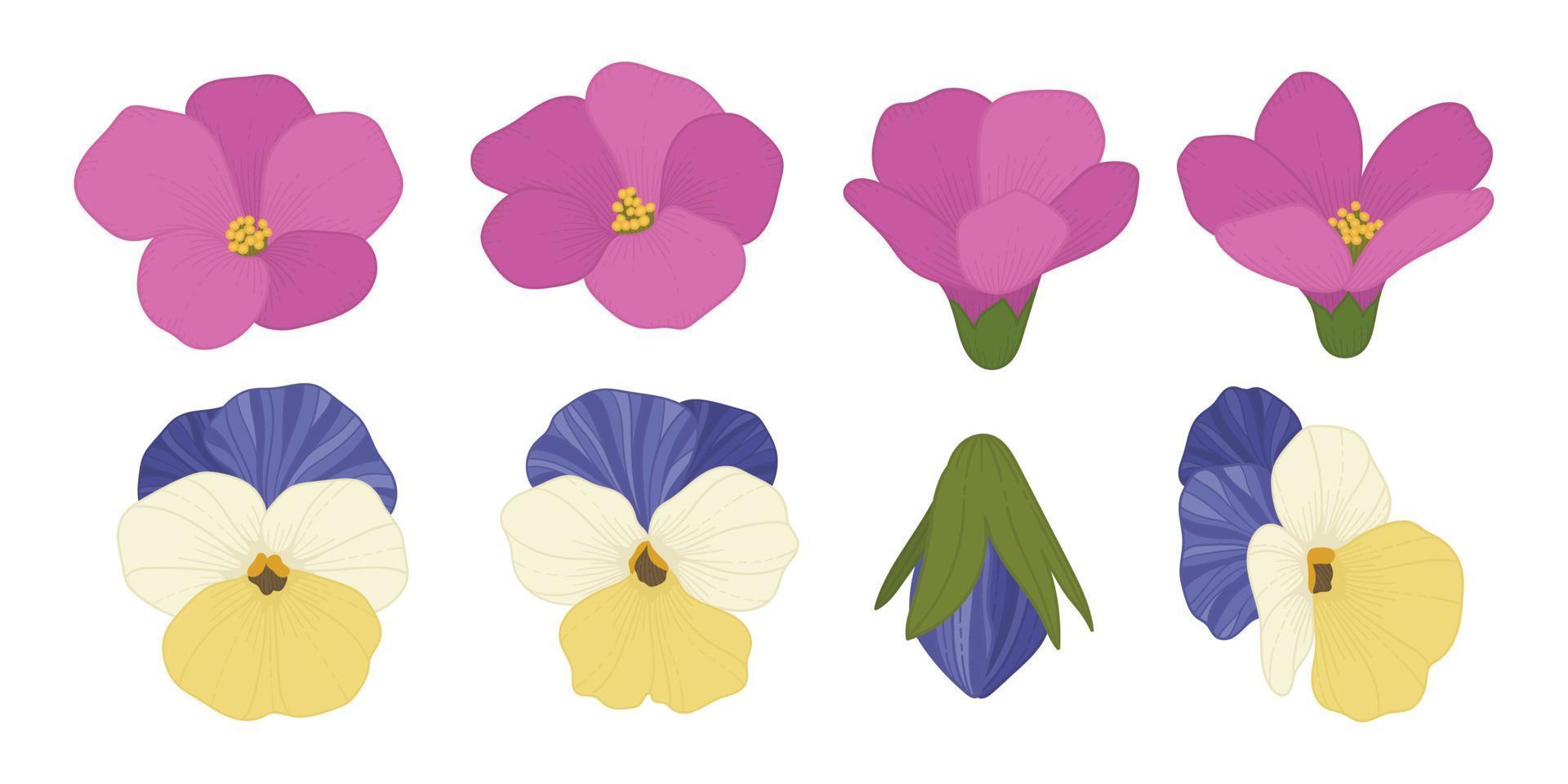 Set of colorful blooming flowers illustration. vector