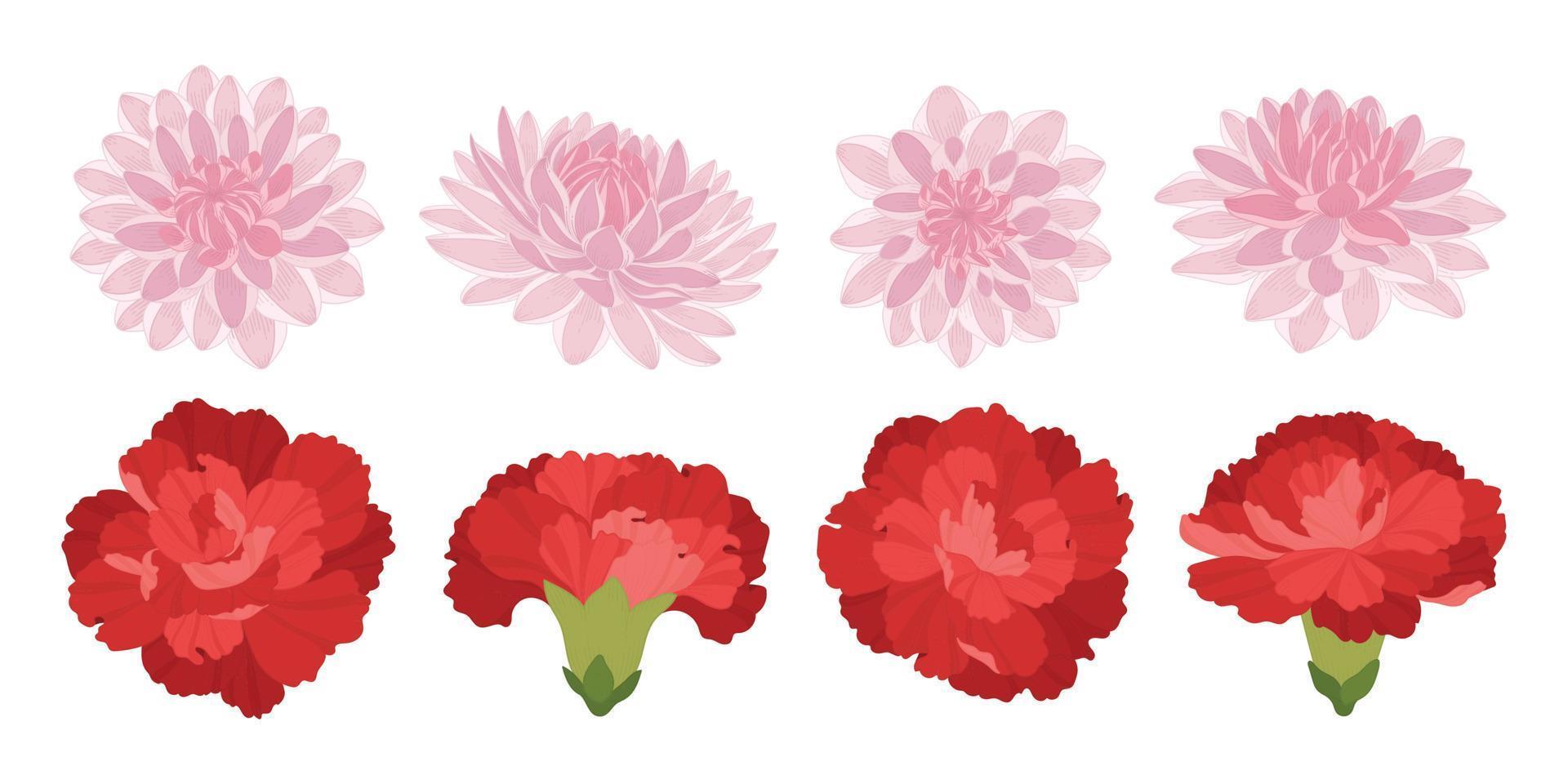 Set of colorful blooming flowers illustration. vector