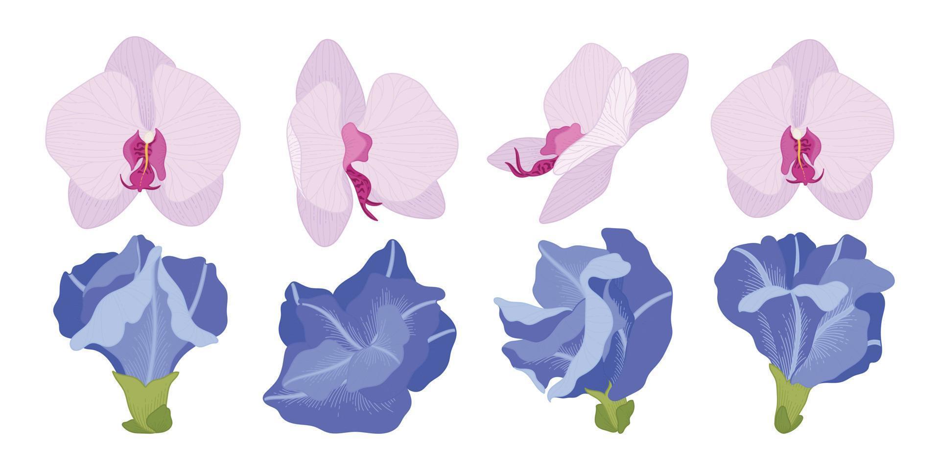 Set of colorful blooming flowers illustration. vector