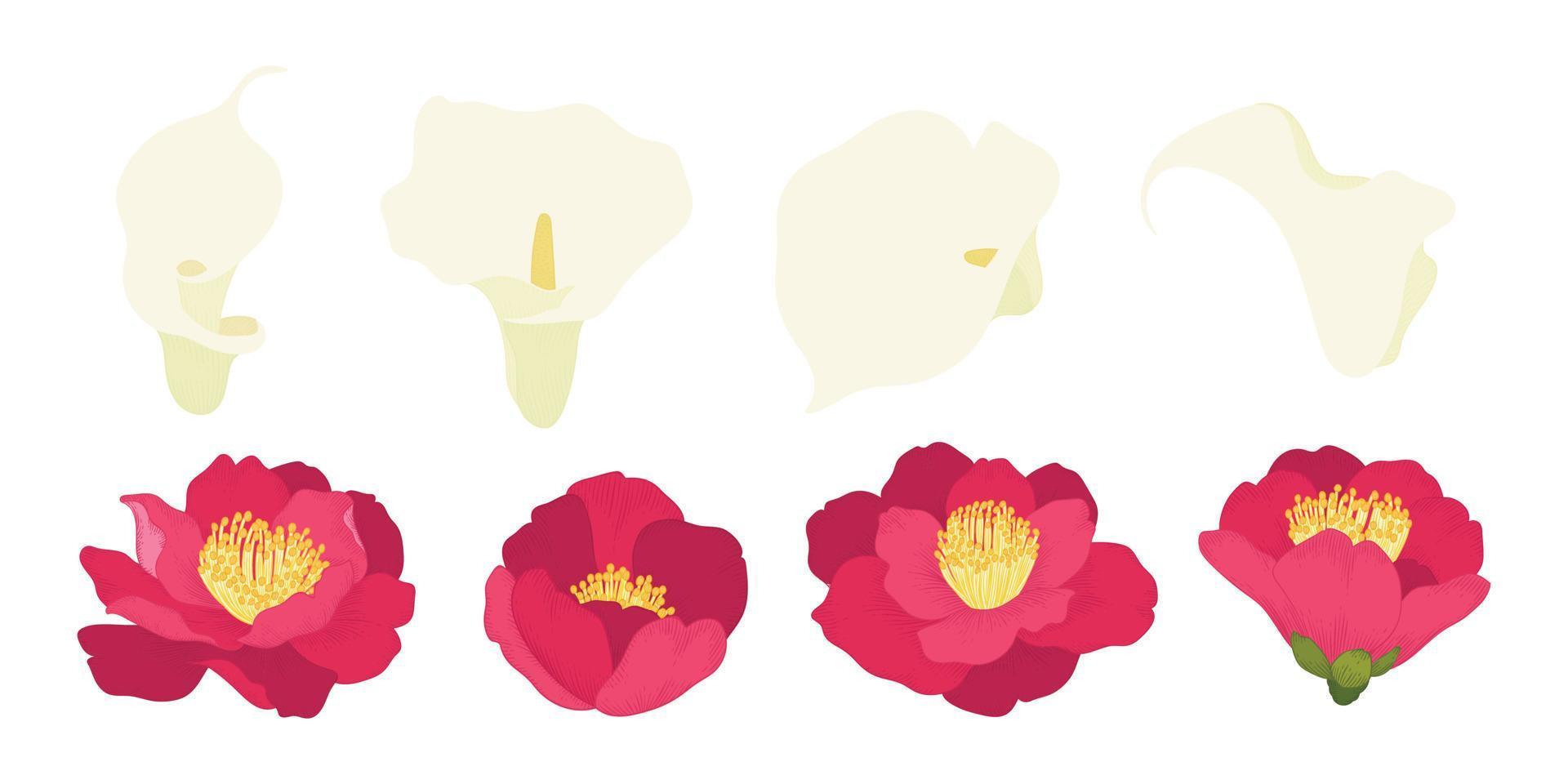 Set of colorful blooming flowers illustration. vector