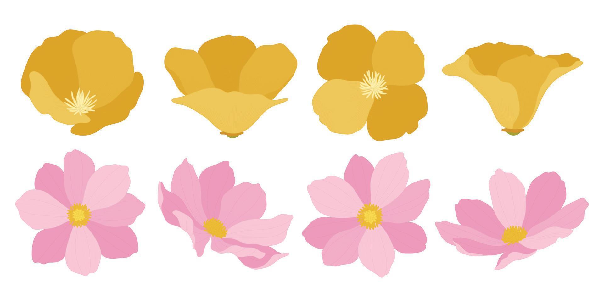 Set of colorful blooming flowers illustration. vector