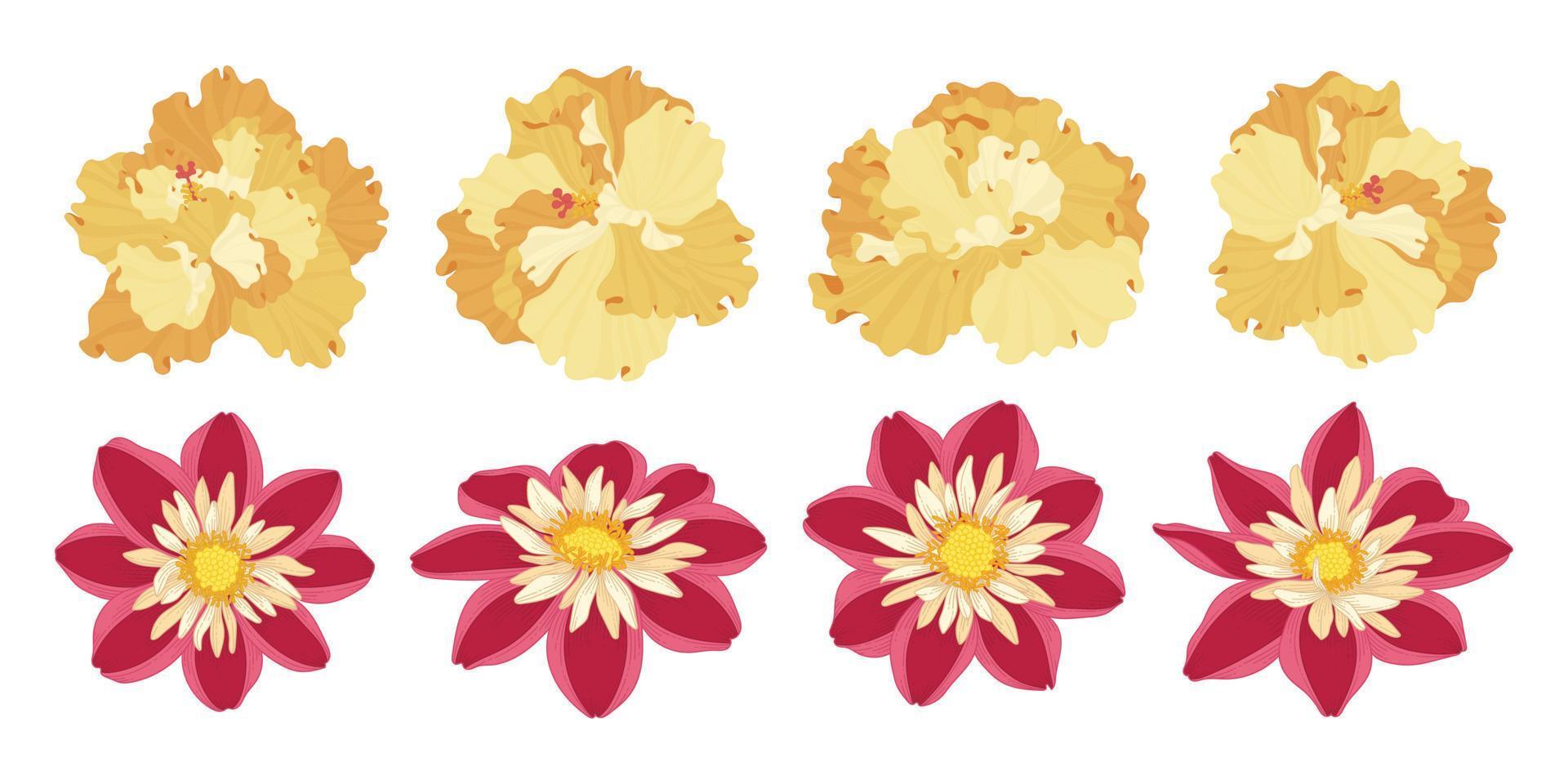 Set of colorful blooming flowers illustration. vector