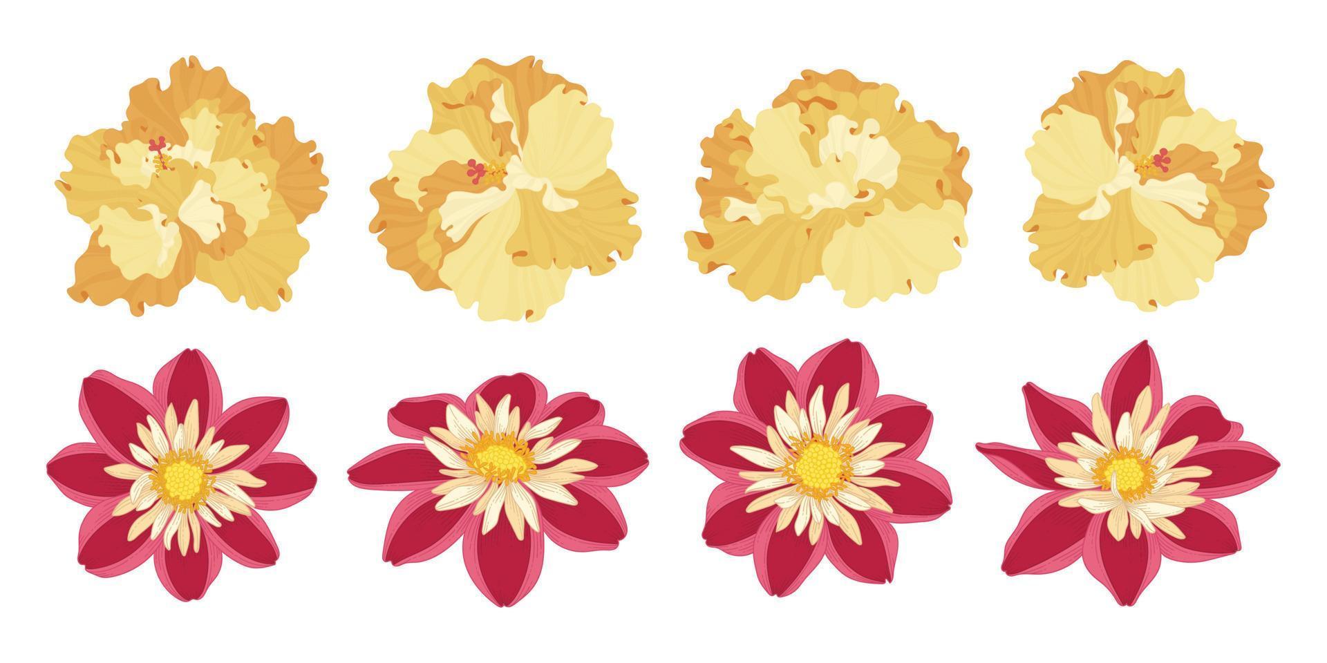 Set of colorful blooming flowers illustration. vector