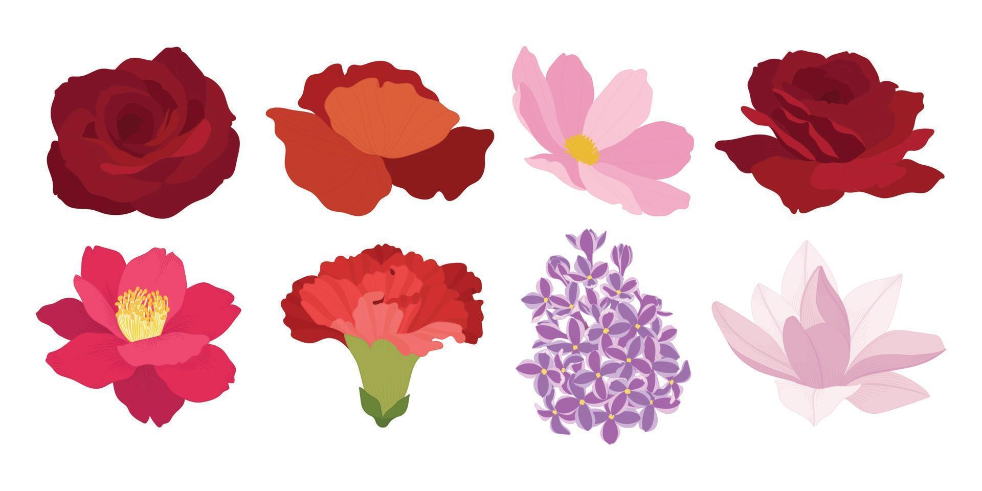 Set of colorful blooming flowers illustration. vector