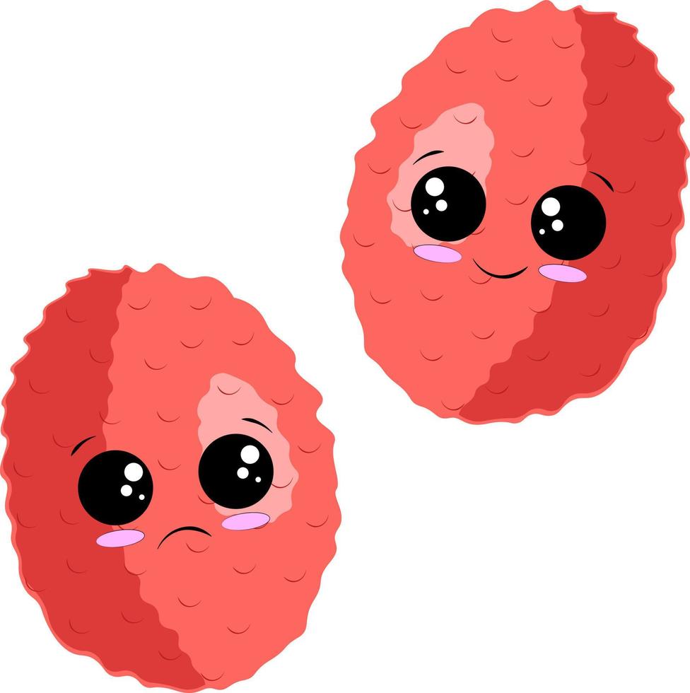 lindos dibujos animados de lichis rosados felices y tristes vector