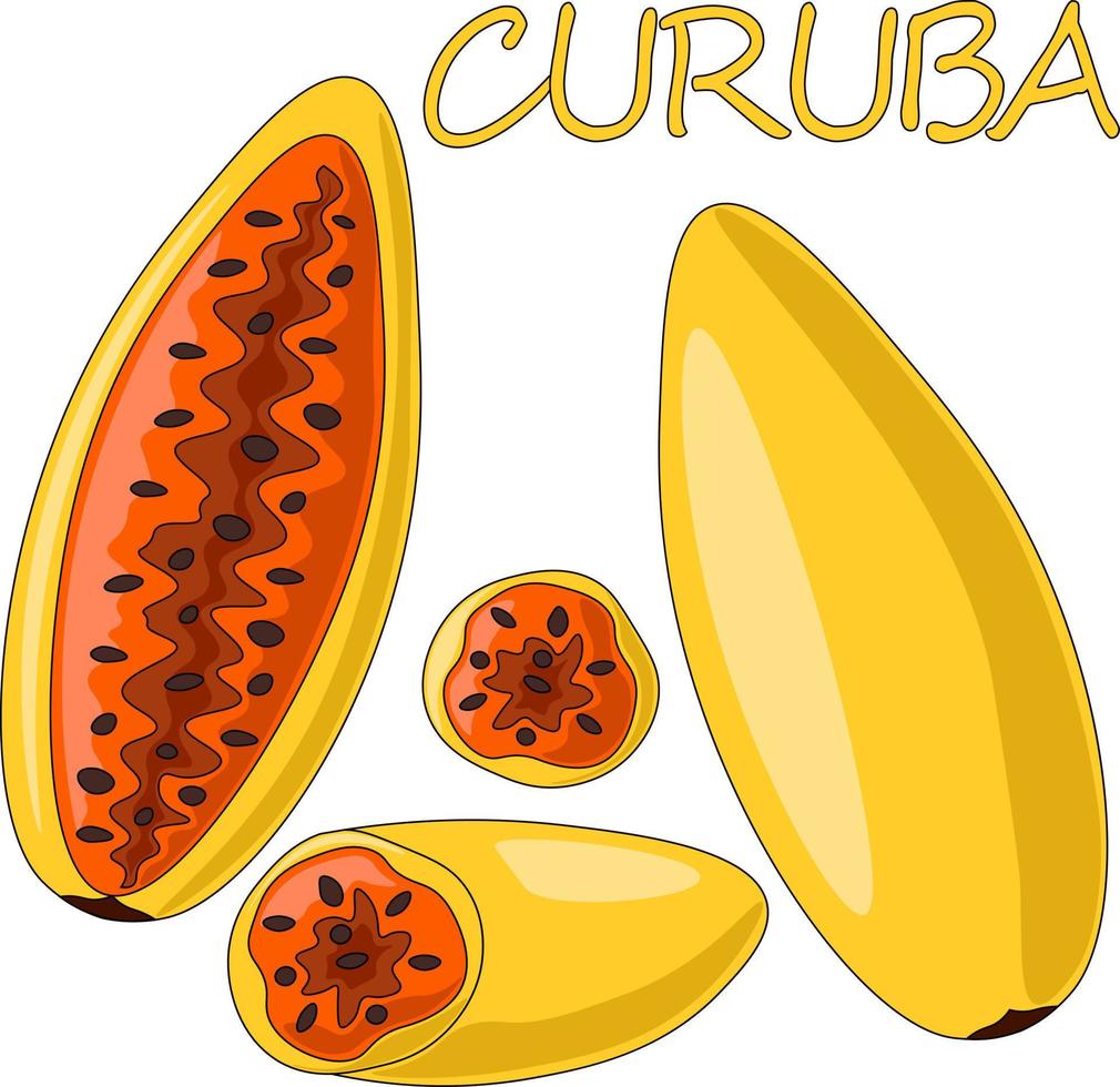mini set con curuba de frutas exóticas. dibujar una ilustración en color vector