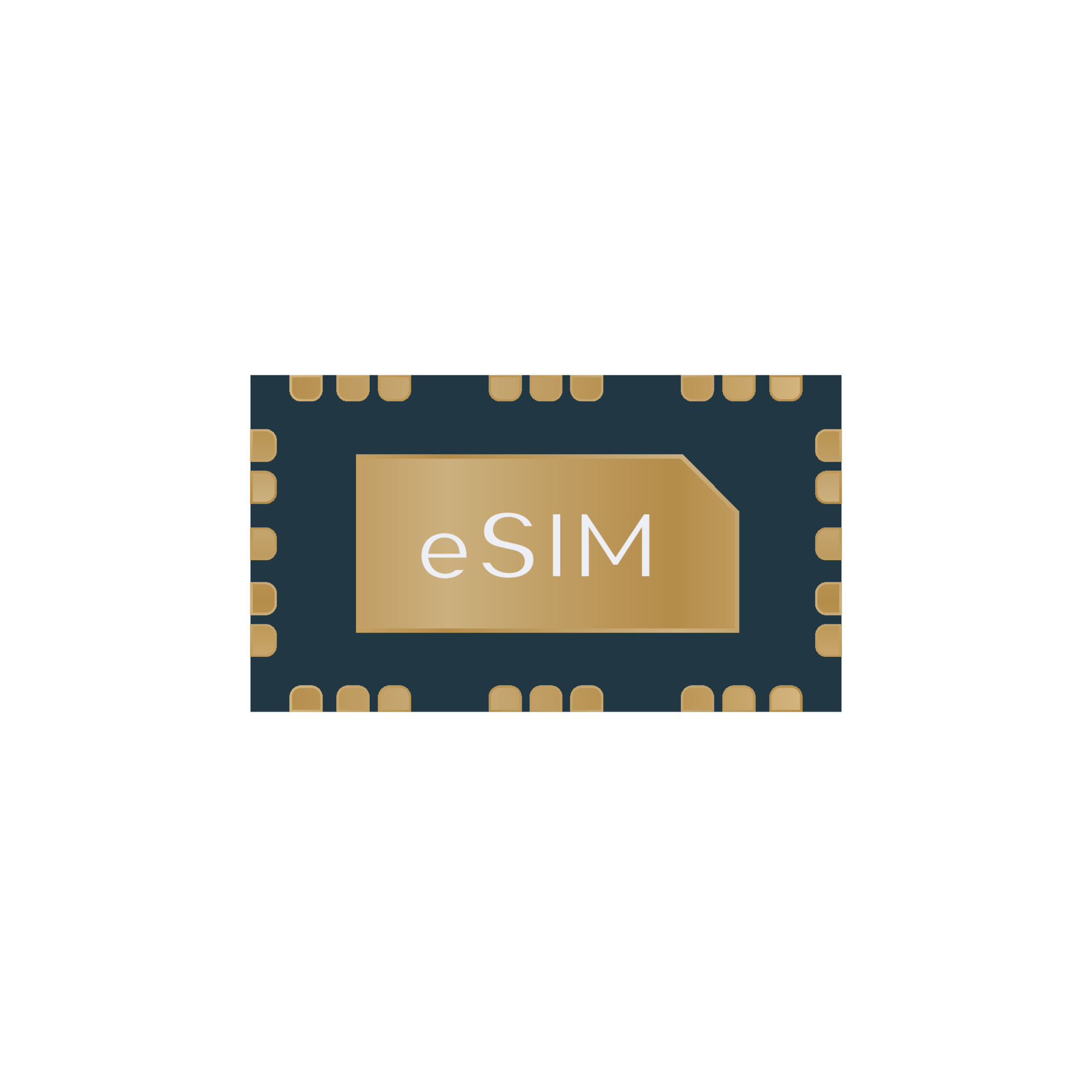 Embedded SIM card chip 7654772 Vector Art at Vecteezy