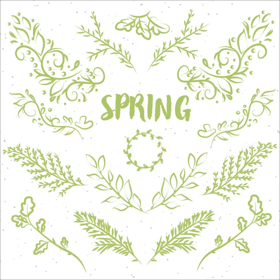 Branch set green color isolated on white background for use rustic decoration vector