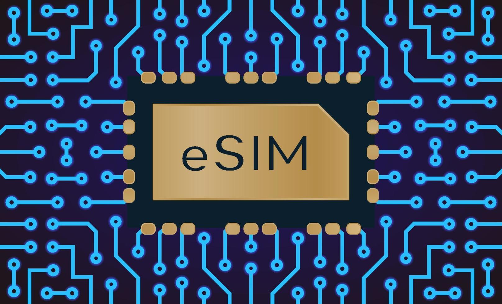 Vector embedded sim card concept