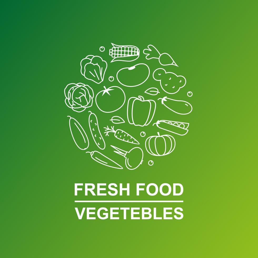 vegetables banner with line icons on gradient background vector