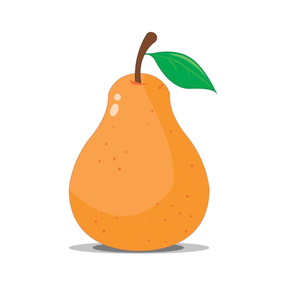 Ripe pear illustration on white background vector