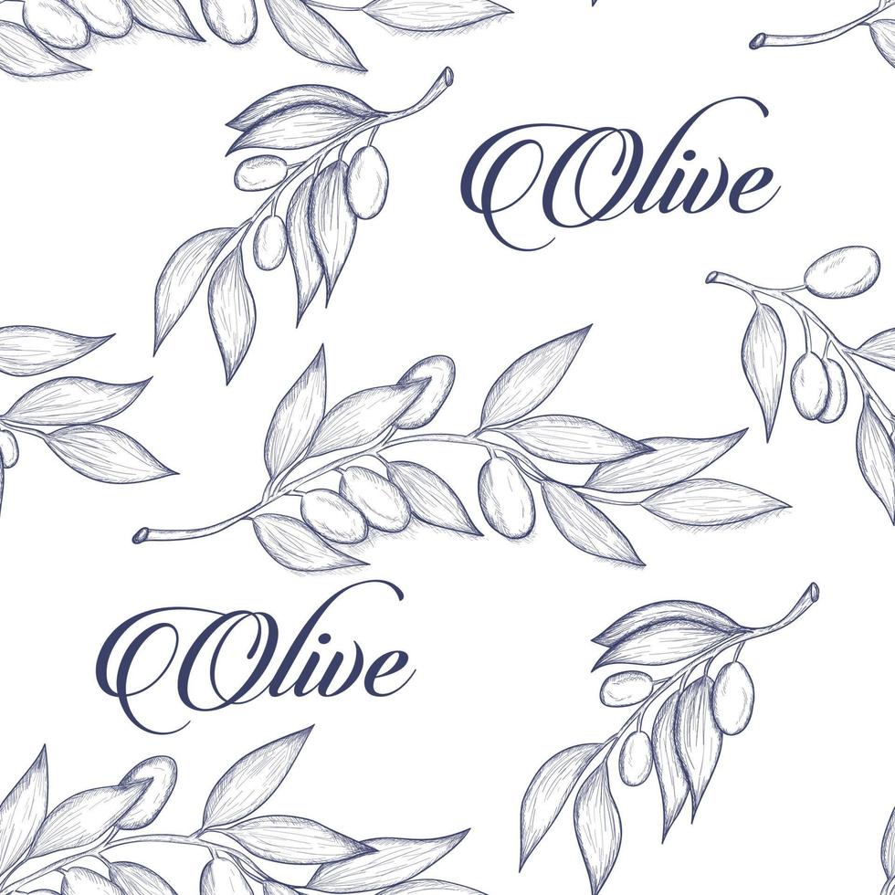 Sketch with olive branch vector