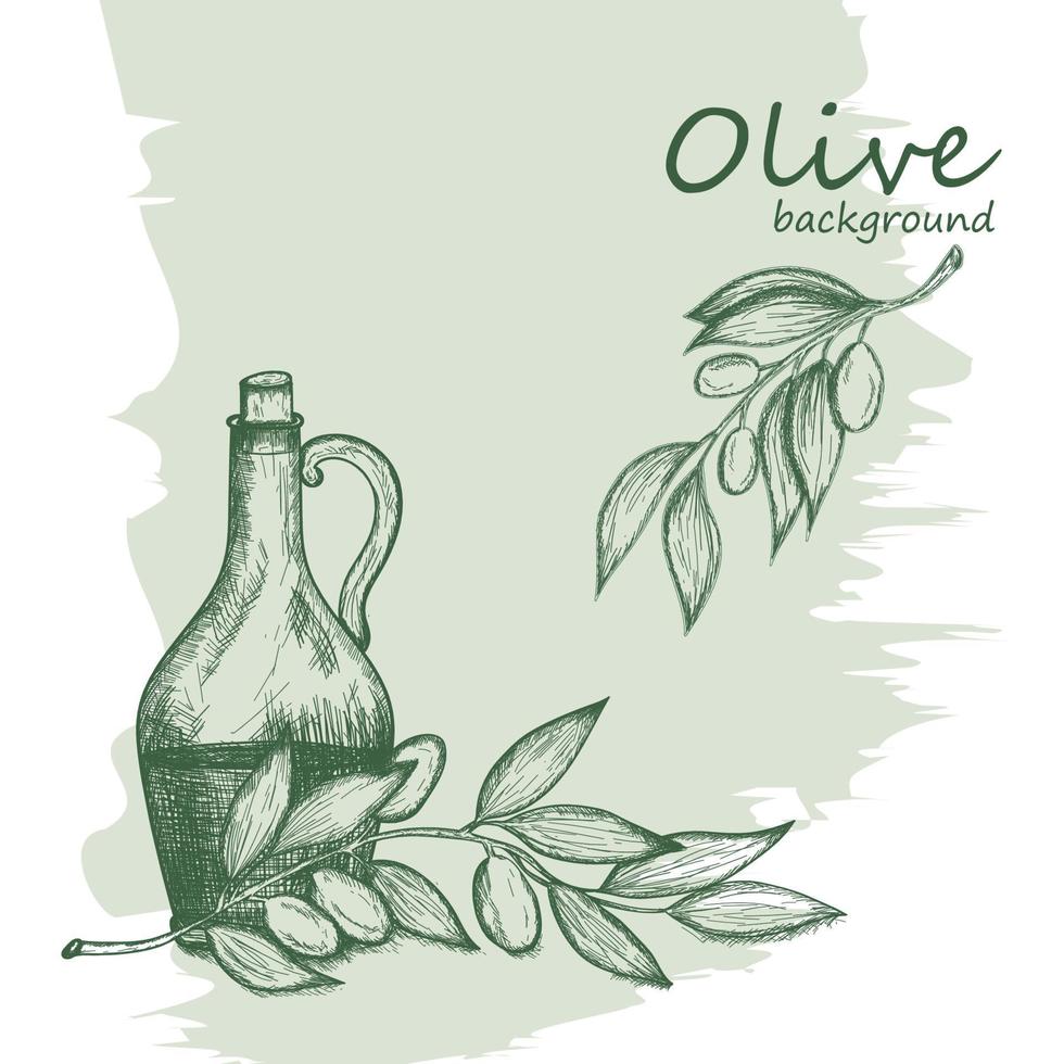 Sketch with olive branch vector