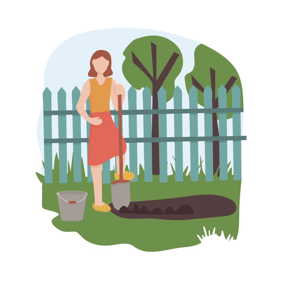 A woman with a shovel digging in a vegetable garden. Agricultural and farm work in the garden. Gardening season, working the land. harvesting potatoes. vector