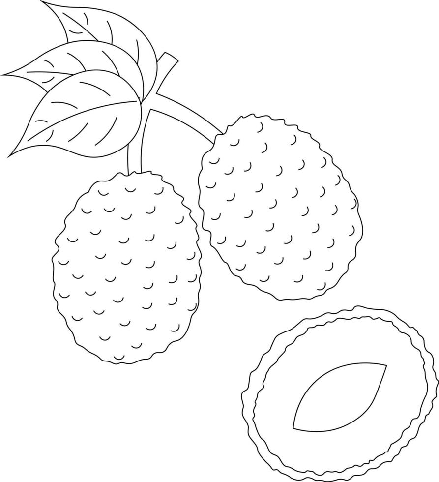 Two whole and half lychees in black and white vector