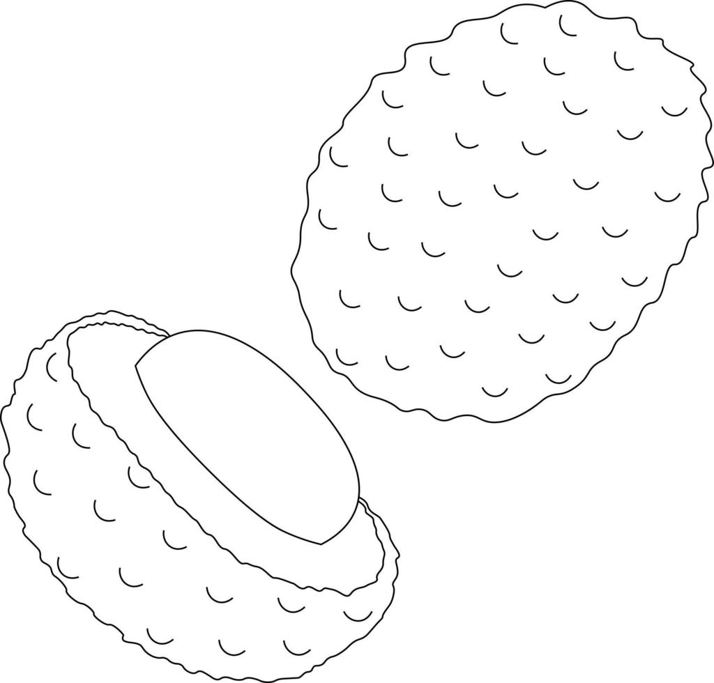 Whole and half lychees in black and white vector