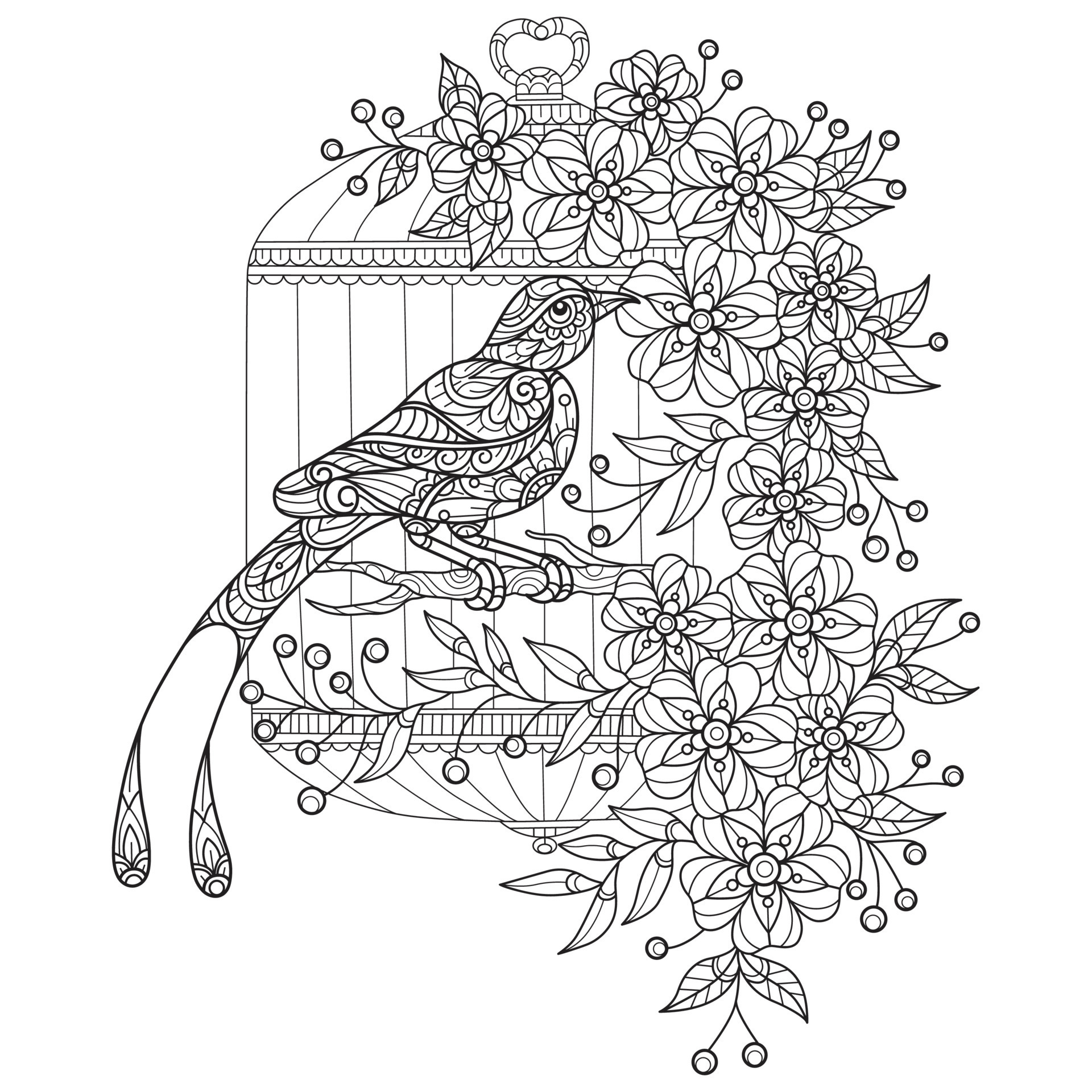 Adult Coloring Pages Birds - Bird And Flower Cage Hand Drawn For Adult Coloring Book Vector 