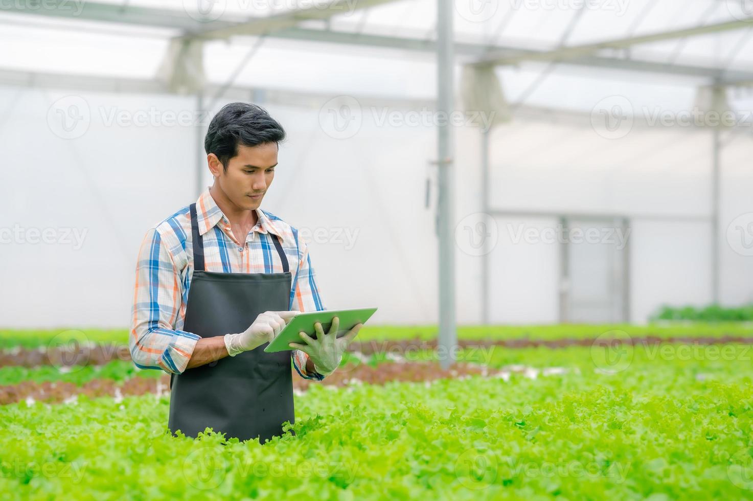 Farmer using digital tablet to control farm system photo