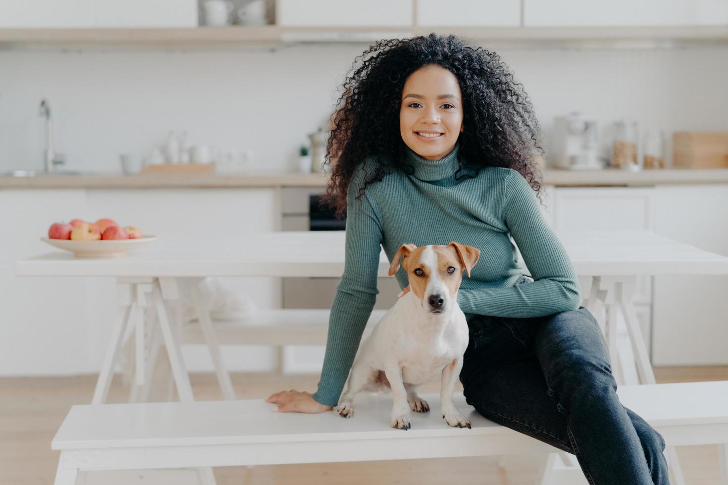 Happy housewife with Afro haircut, sits at bench with pedigree dog, have fun and look directly at camera, pose in kitchen, express good emotions, relax together. Lovely pet with owner at home photo