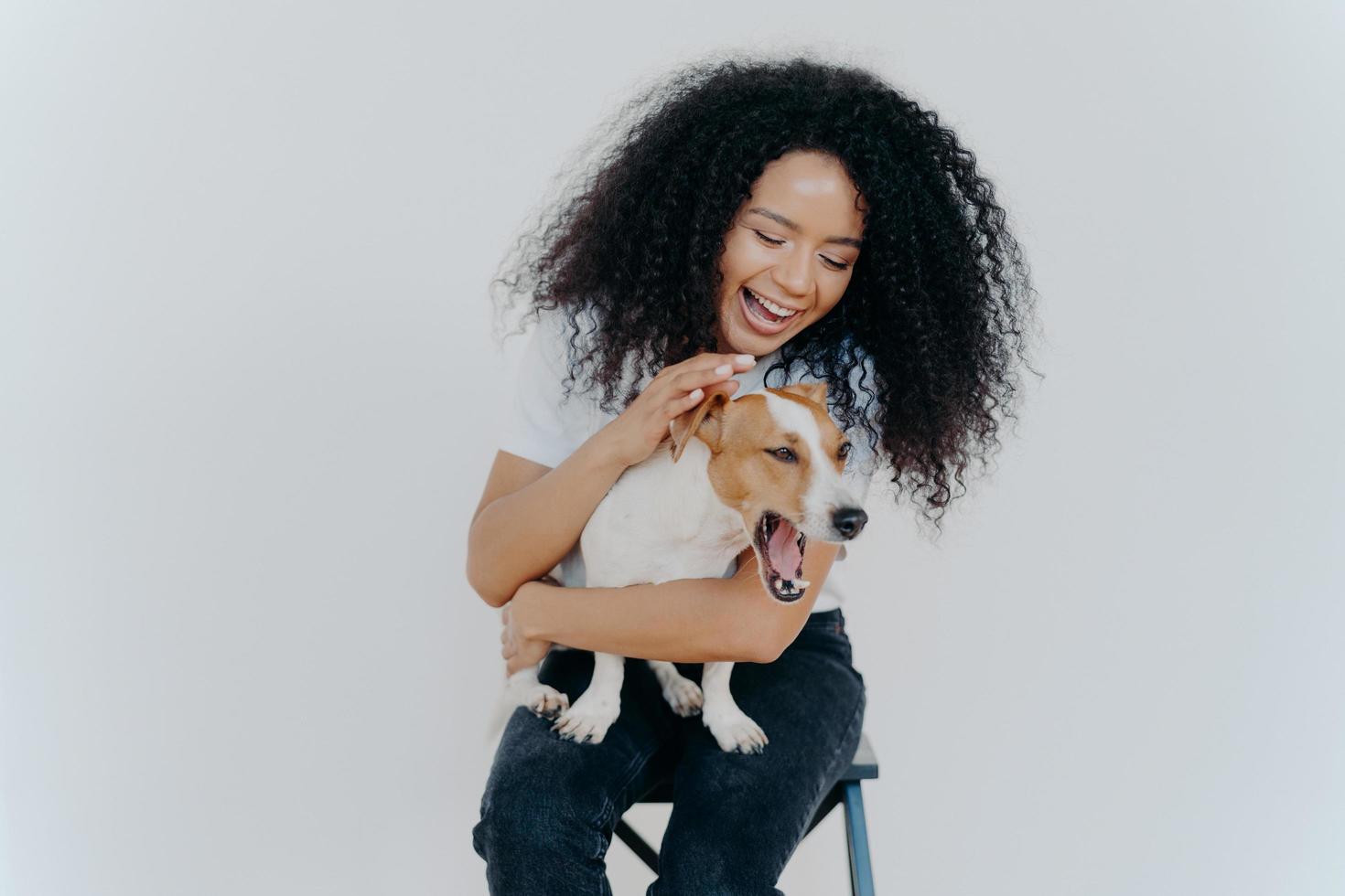 una alegre mujer afroamericana juega con un perro pedigrí, vestida con ropa informal, acariciando a su mascota favorita, aislada sobre fondo blanco, sentada en una silla. expresiones humanas positivas. concepto de amistad foto