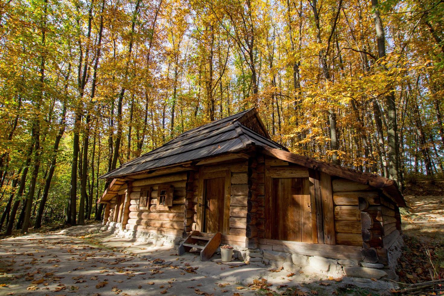 Old wooden house in beautiful autumn forest photo