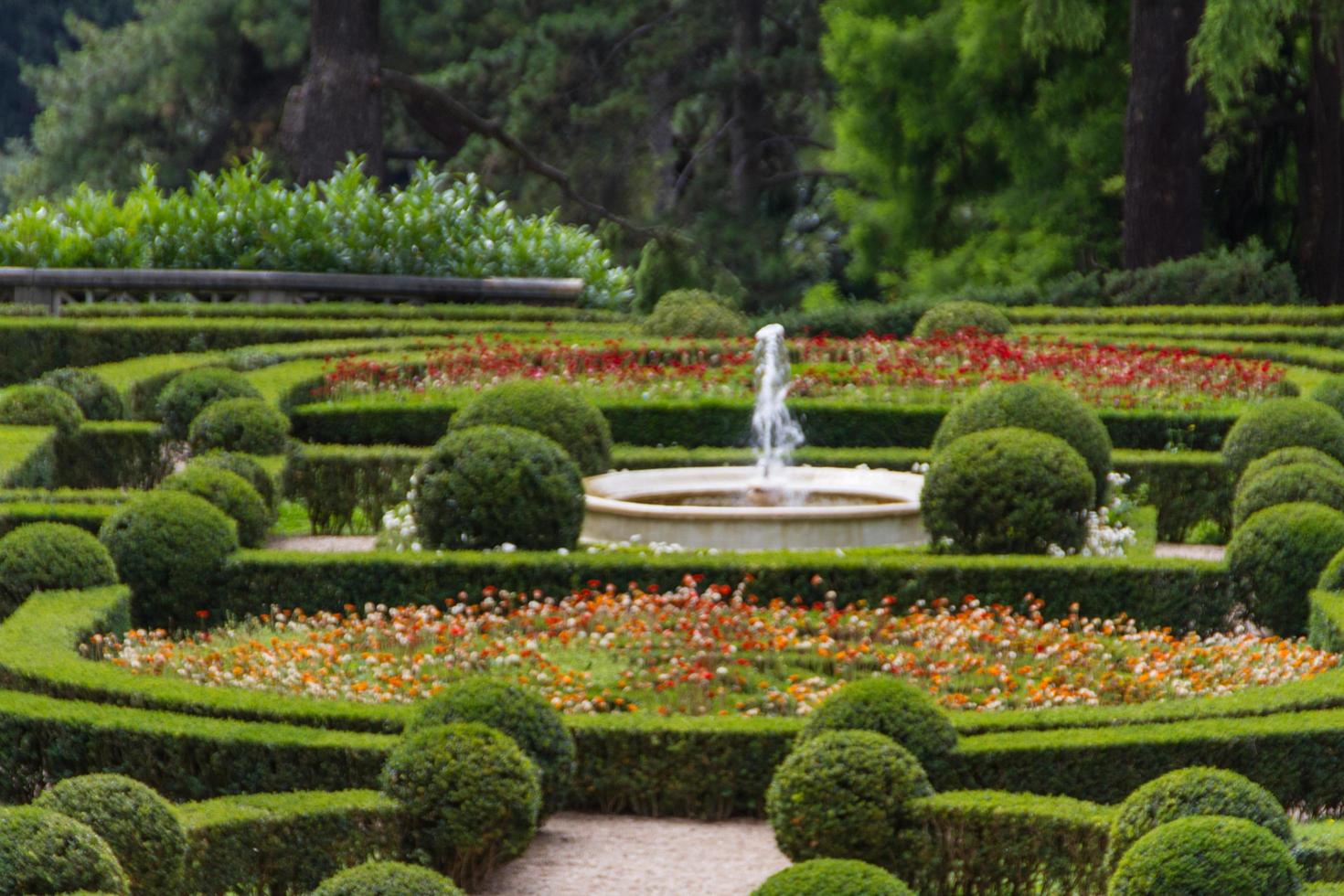 Vatican Gardens, Rome photo